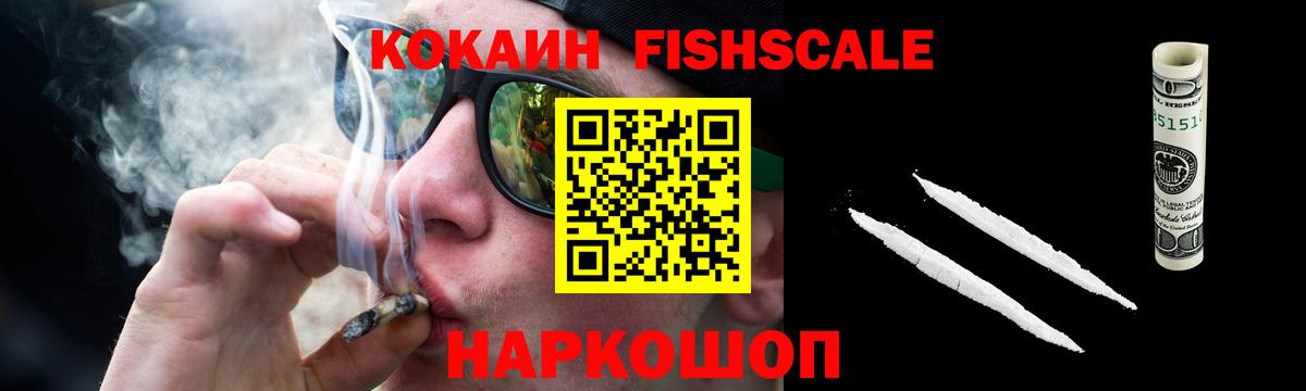 купить закладку  Вход с VPN  Дзержинск  КОКАИН Fish Scale  Cocaine VHQ 